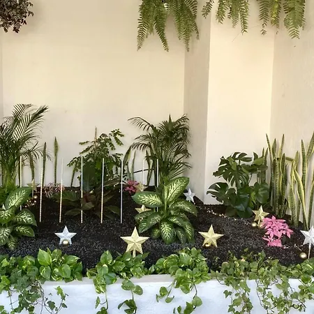 Zen Desconexion Y Calma By Deihu Experiences Apartment